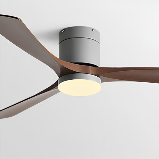 Modern Ceiling Fan - LED